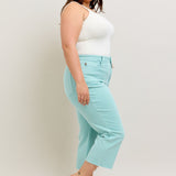 Judy Blue Blue Sky Cropped Jean