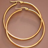 Stainless Steel Hoops