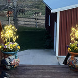 Led Starburst Solar Stakes - Set/2