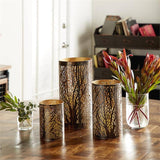 Bronze & Gold Metal Lantern With Tree Cutout - Set Of 3