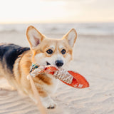 Lake Dog - 12" Canvas Dog Toy On Rope