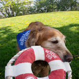 Best Rescue Ever - 10" Canvas Dog Toy On Rope