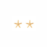 Starfish Post Earrings