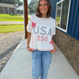 USA Patchwork 250th Top