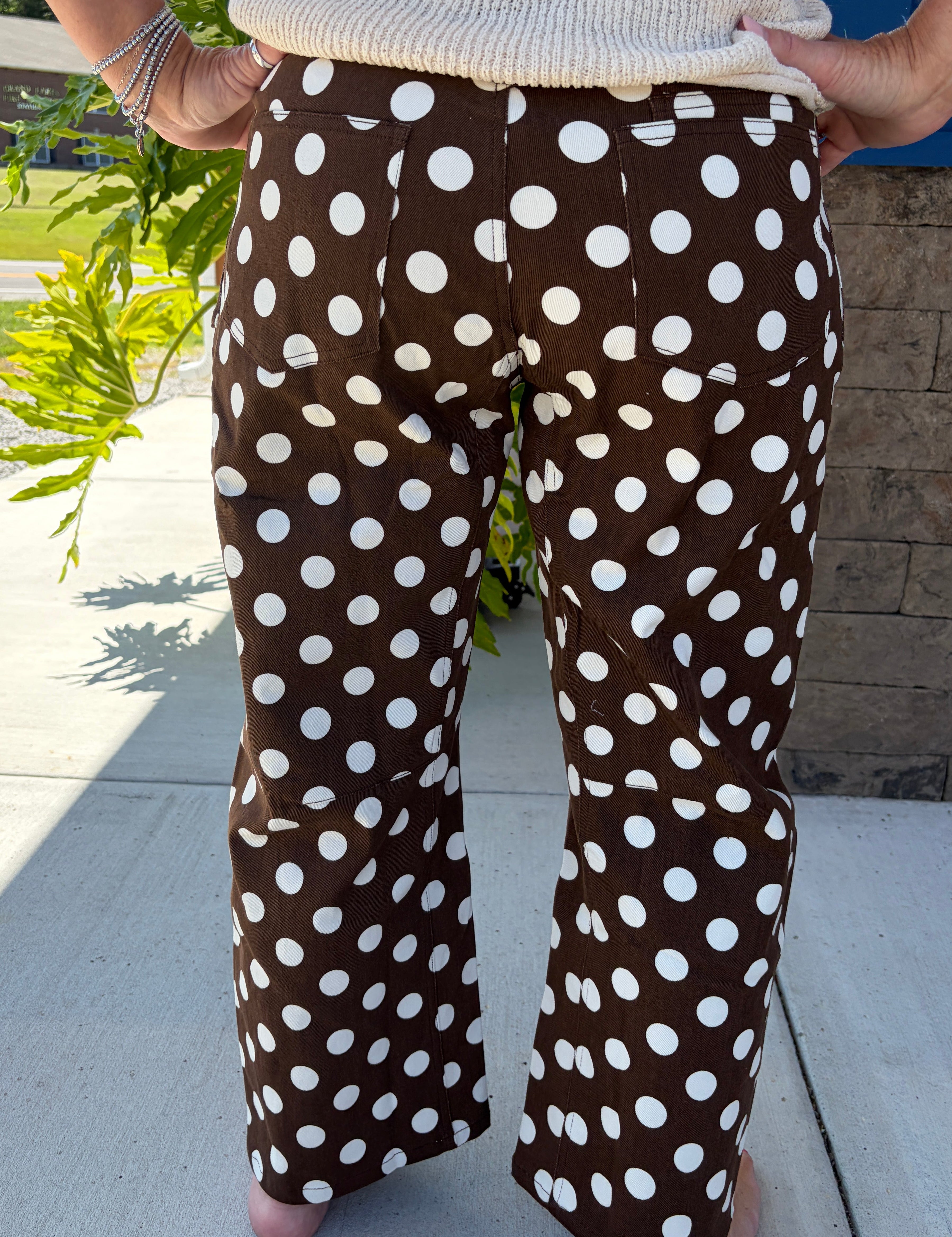 Brown Polka Dot Pants