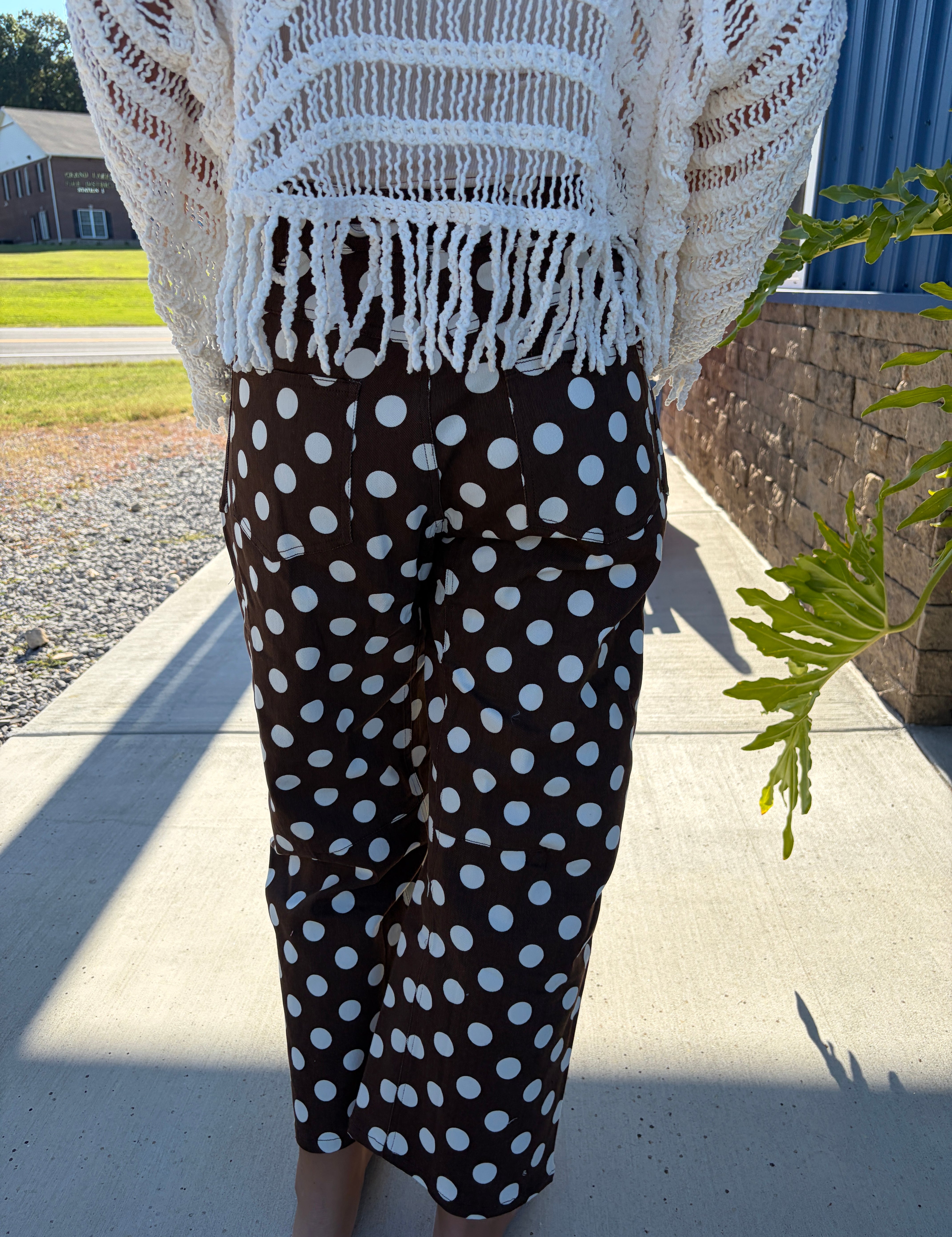 Brown Polka Dot Pants