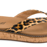 Corky's Off The Deep End