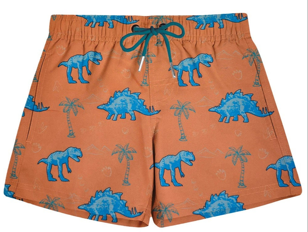 Youth Dinosaur Swim Trunks