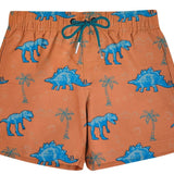 Youth Dinosaur Swim Trunks