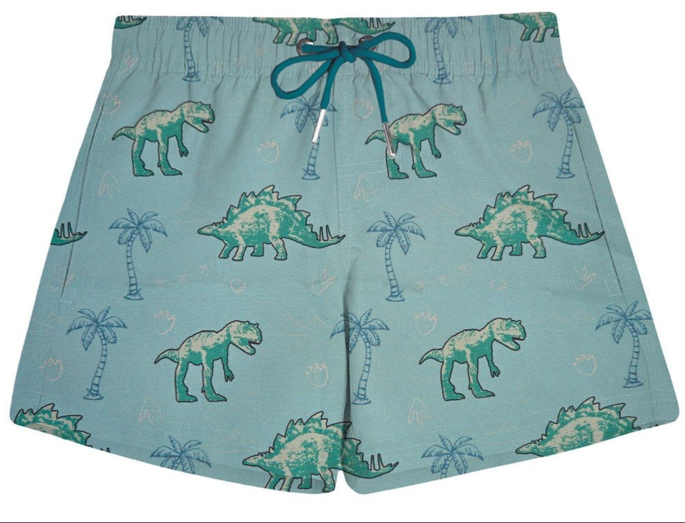 Youth Dinosaur Swim Trunks