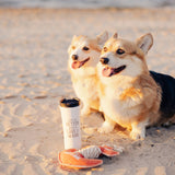 Lake Dog - 12" Canvas Dog Toy On Rope